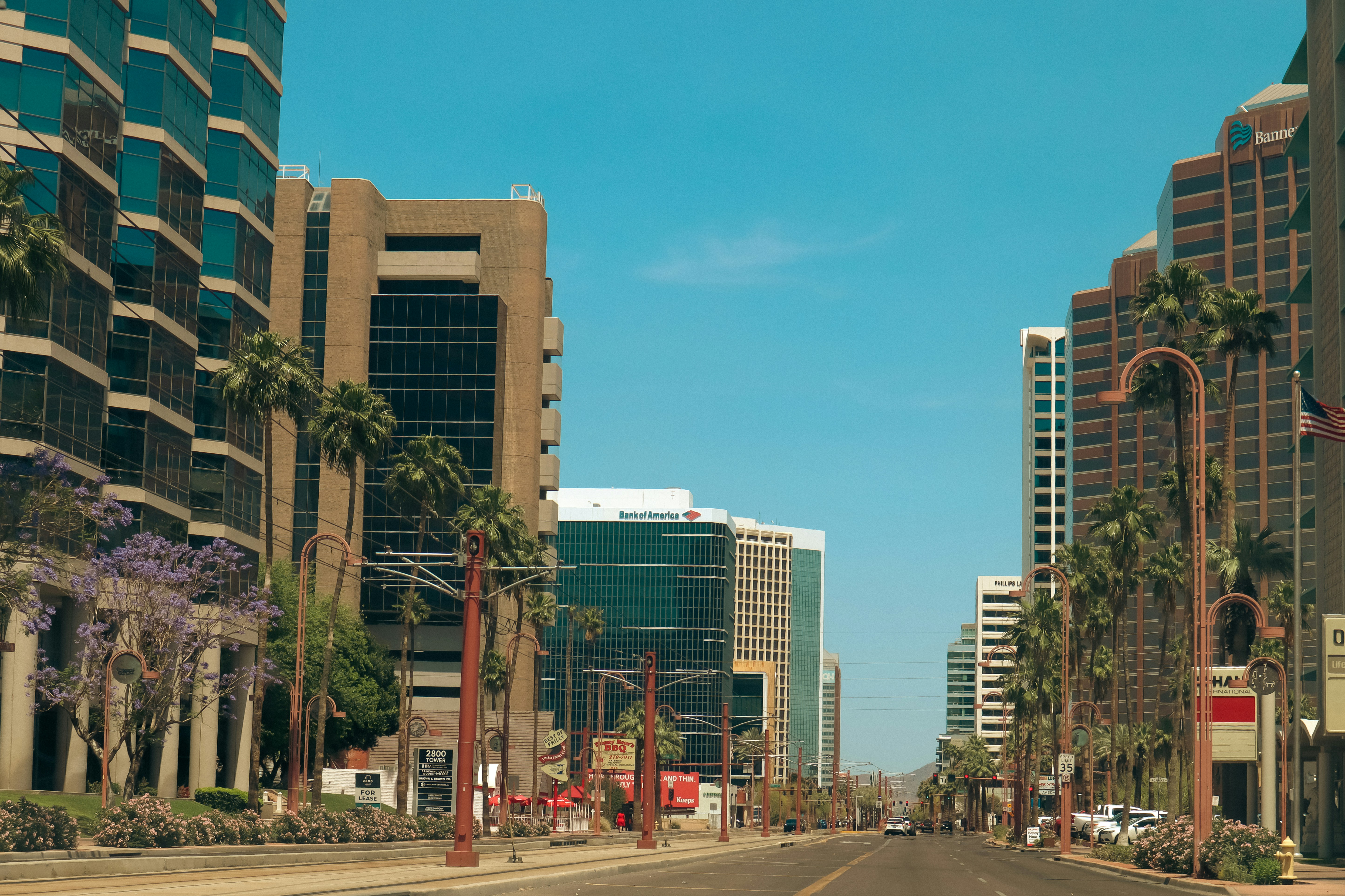 Photo · Phoenix